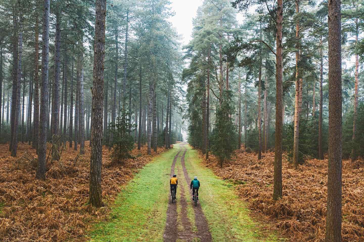 Earth-Month-Header-Photo