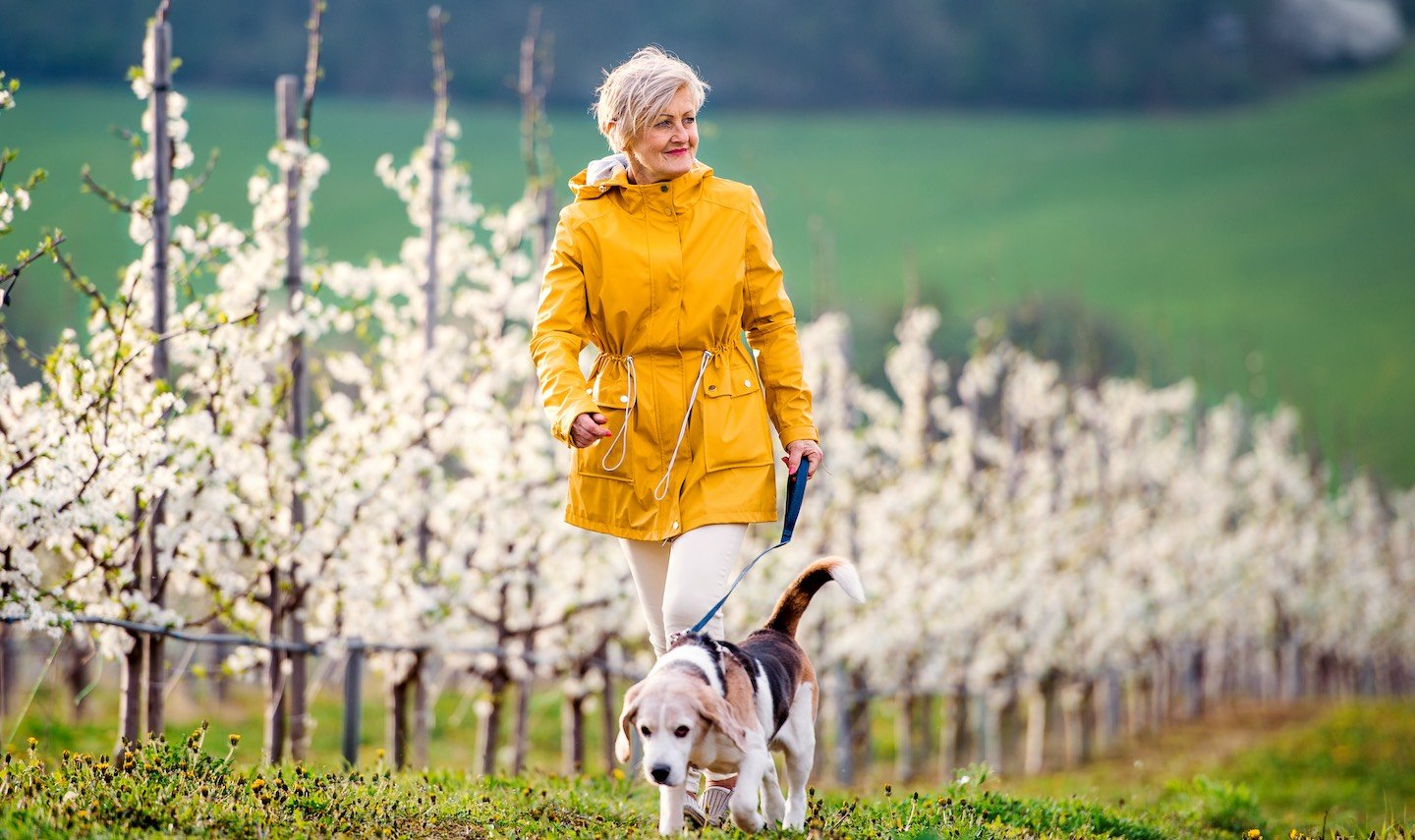 iStock-1209913542-jpeg