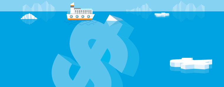 TrueCostbloggraphic2-01